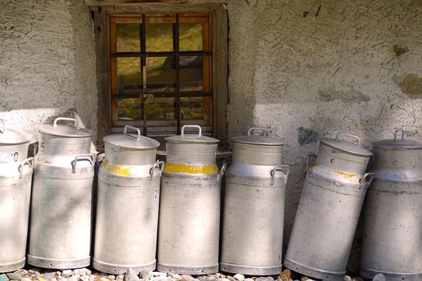 Die Thur Milch Ring AG hat seit Anfang Oktober ein Drittel weniger Produzenten. (Bild Pixabay)