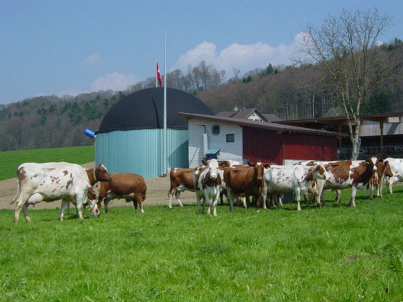 Biogasanlage auf einem Bauernbetrieb. (Bild zVg)