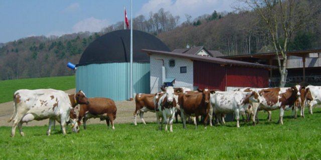 Biogasanlage auf einem Bauernbetrieb. (Bild zVg)