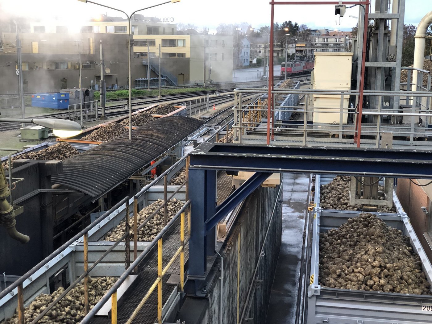In Aarberg gab es aufgrund der Virösen Vergilbung tiefe Rübenerträge. Deshalb werden aus dem Aargau Rüben angeliefert. Die hohen Mengen stellen die Schweizer Zucker AG aber vor Herausforderung. (Bild Katrin Erfurt)