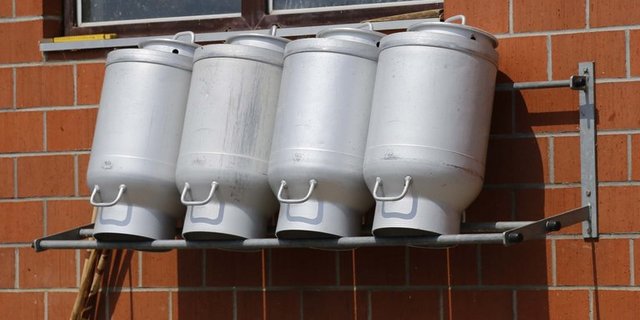 Der SBV-Vorstand hat im Februar entschieden, die Arbeitsgruppe Milch zu reaktivieren. (Bild ji)