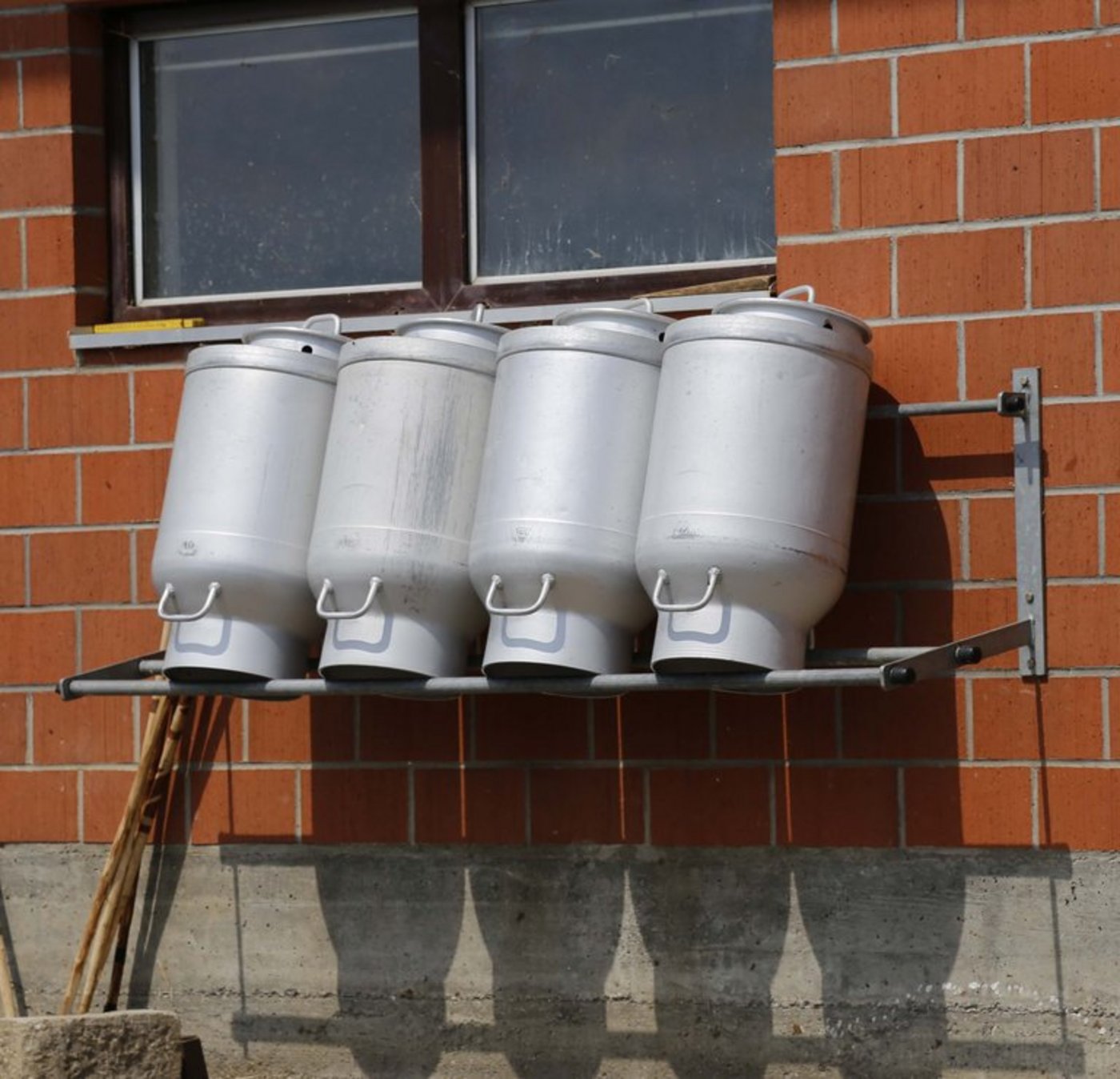 Der SBV-Vorstand hat im Februar entschieden, die Arbeitsgruppe Milch zu reaktivieren. (Bild ji)