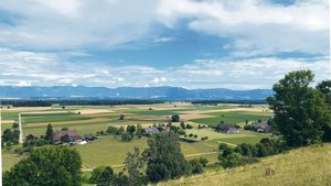 Das Schweizer Mittel Das Schweizer Mittelland ist stark landwirtschaftlich geprägt. Hier wurde bezüglich ökologischer Infrastruktur ein grosses Defizit festgestellt.