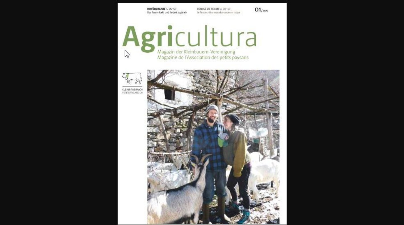 Das Magazin präsentiert sich in neuem Kleid. (Bild VKMB)