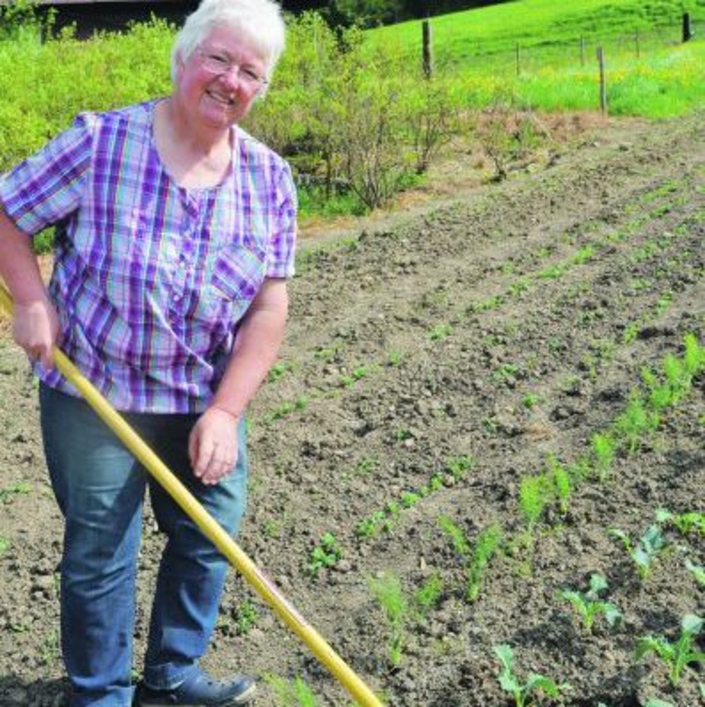 Elisabeth Vögeli hegt und pflegt die Gemüsekulturen ohne grosse Mechanisierung. Für den Hofladen produziert die Familie zahlreiche Gemüse- und Beerensorten. (Bild Isabelle Schwander)