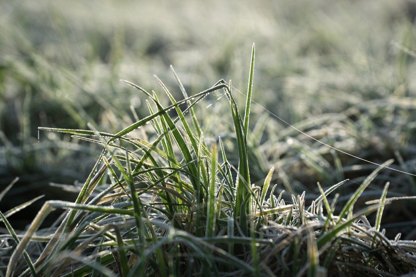 Die Sistierung verzögert die Umsetzung der AP 22+ massiv. Die ersten Bestimmungen sollen demnach erst 2025 in Kraft treten. (Bild florianjuengermann  / Pixabay)