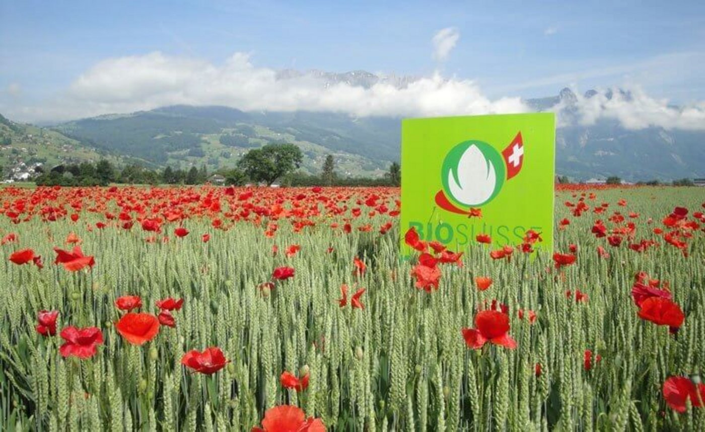 6423 Produzenten arbeiten momentan nach den Richtlinien von Bio Suisse. (Bild newlyswissed.com)