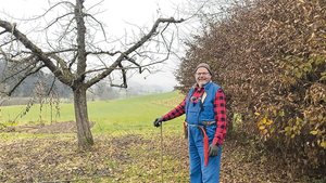Paul Aeschimann vor Paul Aeschimann vor einem fertig geschnittenen Apfelbaum der Sorte Boskoop. Auf seinem Betrieb stehen etwa 100 Hochstämmer, vor allem Apfelbäume.