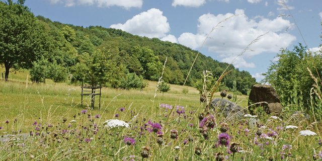 Am Anfang des Ressourcenprogramms des Bundesamts für Landwirtschaft standen Ammoniak-projekte im Vordergrund. Zunehmend richtet sich der Fokus auf die Biodiversität. (Bild Ruth Aerni)