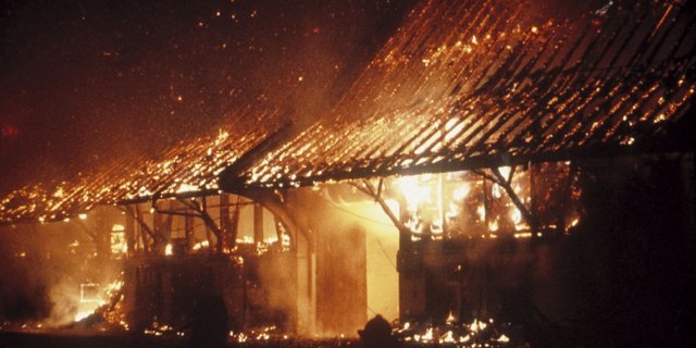 Peta wirft dem Landwirt vor, mutmasslich unzureichende Brandschutzmassnahmen getätigt zu haben. (Symbolbild BauZ)