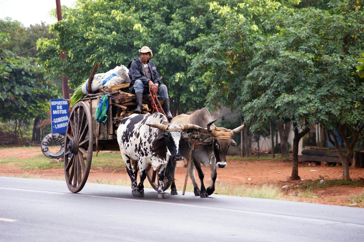 Mit der Ausklammerung landwirtschaftlicher Produkte vom Freihandelsabkommen sollte dem Bauernsterben in den Mercosur-Staaten entgegen gewirkt werden. (Symbolbild aranha / Pixabay)