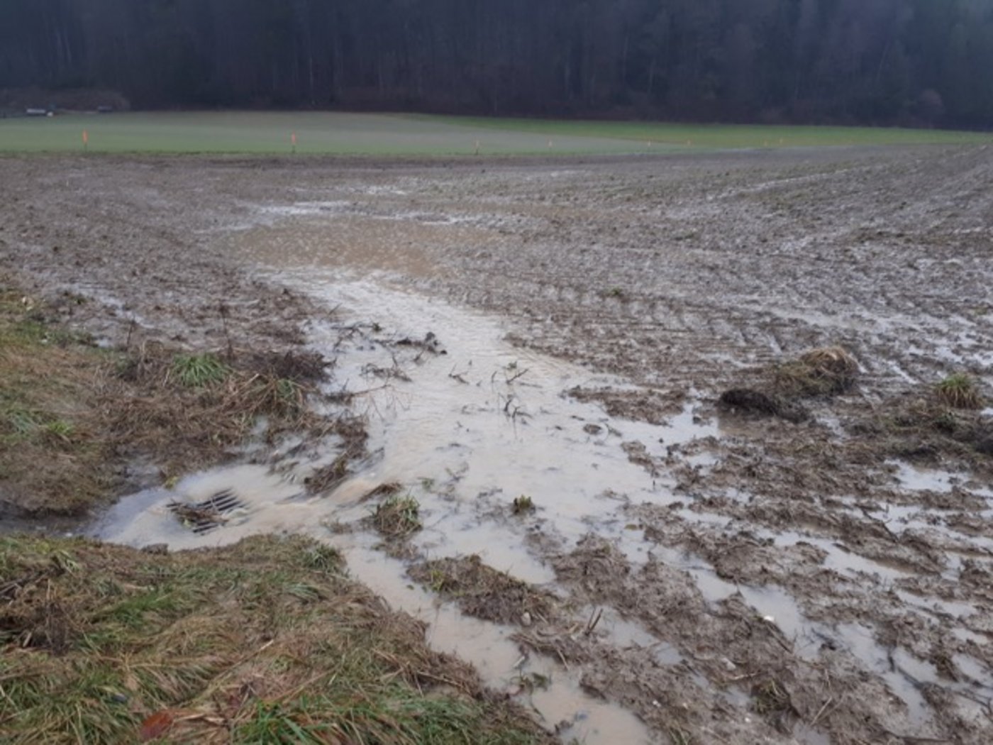 Wegen den milderen Temperaturen steigt die Schneefallgrenze und damit die Hochwassergefahr. 