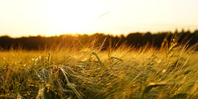 (Symbolbild Pixabay)