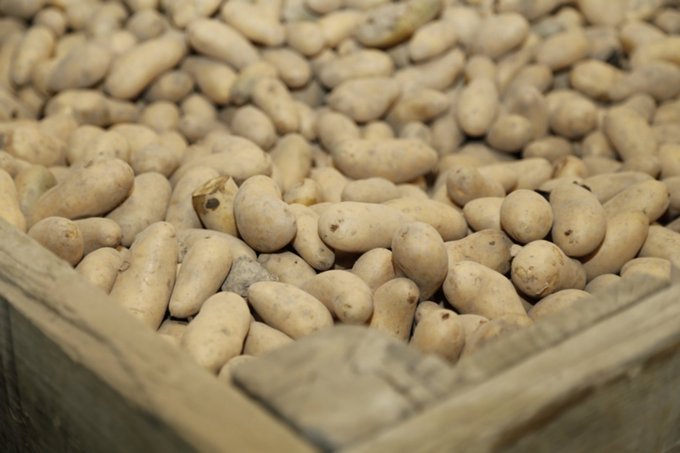 Kartoffeln würden deutlich mehr konsumiert. (mw)