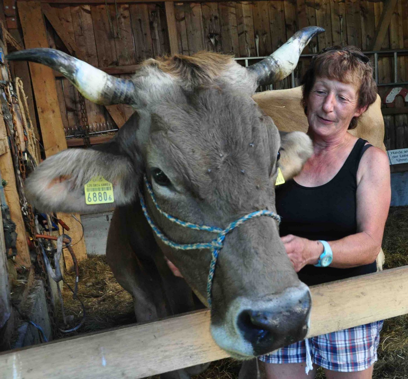 Annalis Bänziger steckt viel Aufmerksamkeit und Energie in ihre Tiere. (Bild nb)
