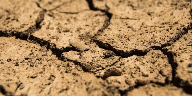 Wegen der Dürre fiel in Ostafrika während Jahren die Ernte aus. (Bild Pixabay)