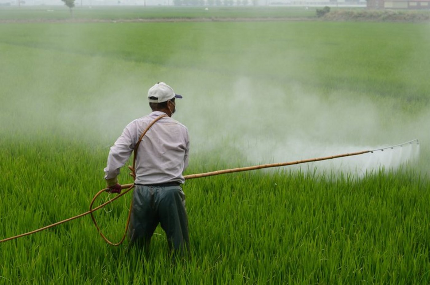 Laut SBV stammen die Rückstände von ausländischen Produkten. (Symbolbild/Pixabay)