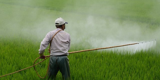 Laut SBV stammen die Rückstände von ausländischen Produkten. (Symbolbild/Pixabay)