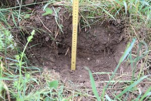 Wieviel Wasser speichert welcher Boden? In einer Wiese mit einem eher leichteren Boden sind die Niederschläge nur bis in eine Tiefe von 20 cm eingesickert. (Bilder romü)