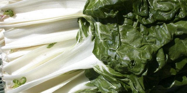 Krautstiele - auch Swiss Chard genannt. (lid)