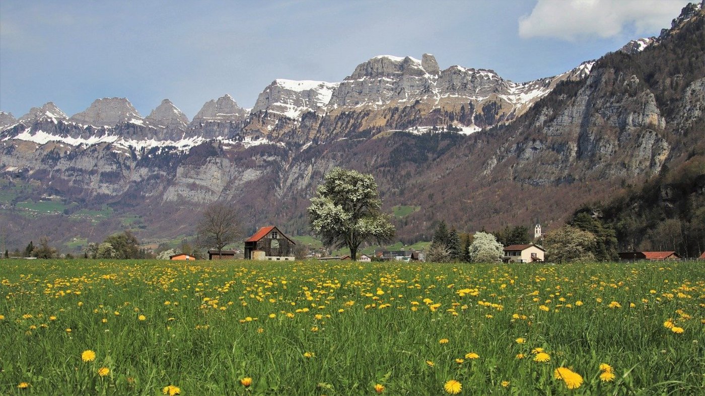 Die Schwerpunkt der Strategie Nachhaltige Entwicklung sind die Biodiversität, das Klima und der Konsum. (Bild Pixabay)