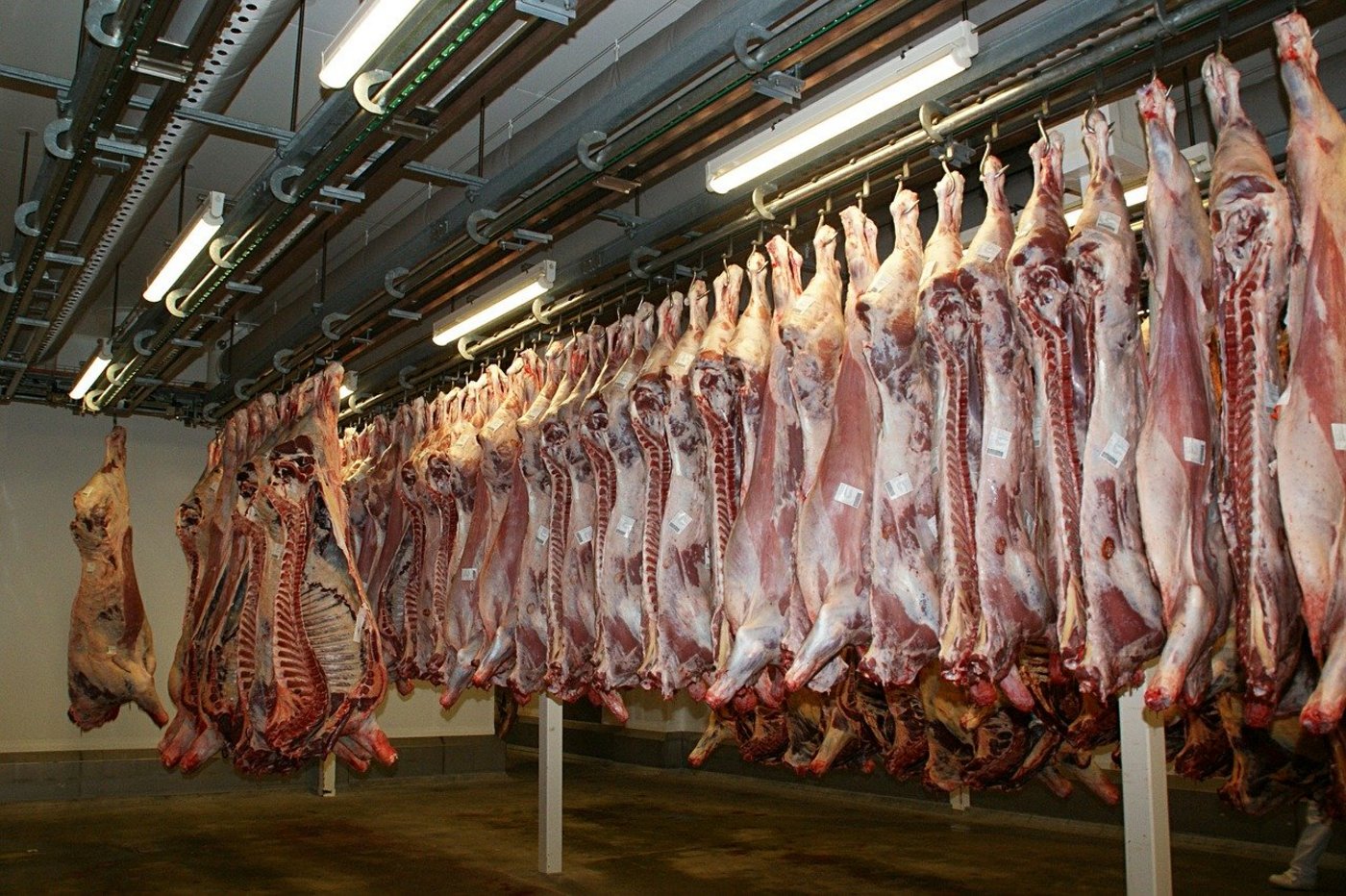 In einem Schlachthof in Nordrhein-Westfalen hatten sich 180 Mitarbeitende mit dem Coronavirus infiziert. (Symbolbild Pixabay)