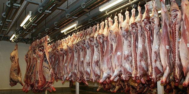 In einem Schlachthof in Nordrhein-Westfalen hatten sich 180 Mitarbeitende mit dem Coronavirus infiziert. (Symbolbild Pixabay)