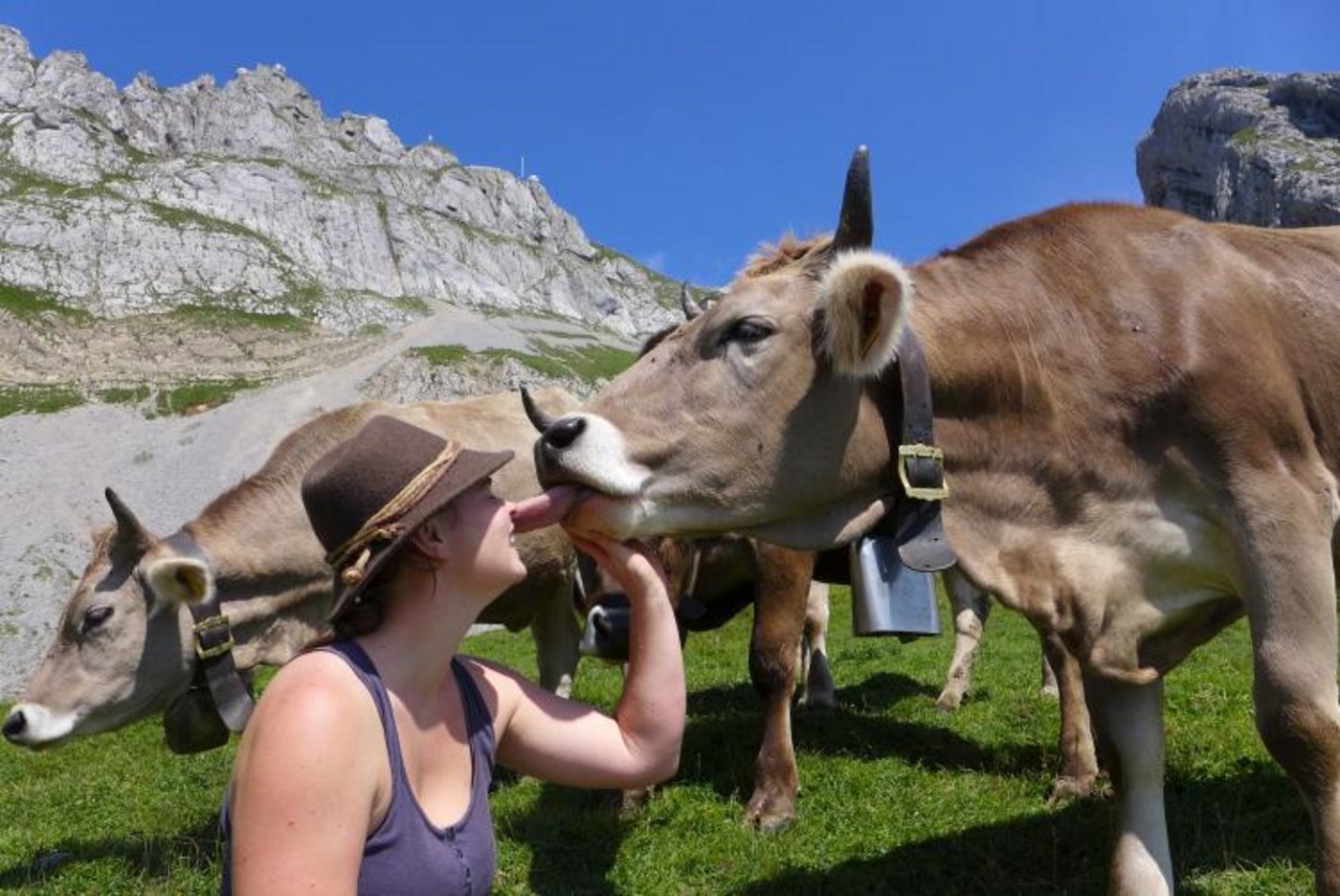 Alp Schwandi/Laub. (Bild Lea Kluge)