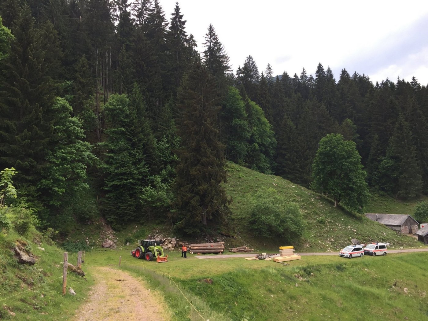 Die Unfallstelle: Mit der Seilwinde am Traktor wollte der Verunfallte eine gefällte Tanne aus dem Wiesenhang ziehen. (Bilder Kapo SG)
