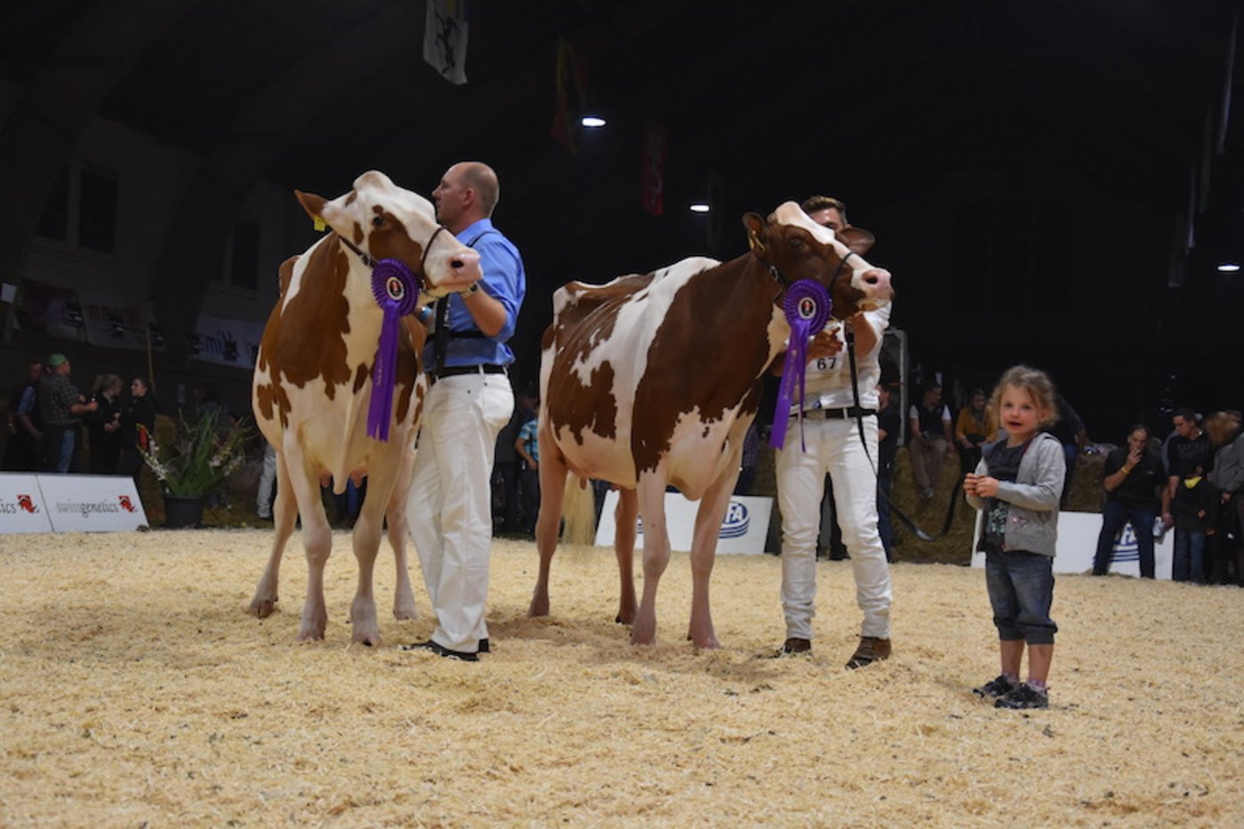 Vize-Championne Asthott Macy in Love (links) und die drittplatzierte Addiction Subblime.