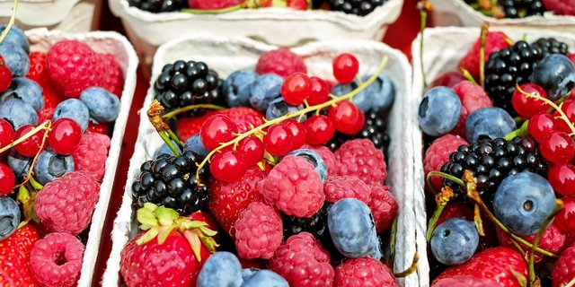 Schalen voller Beeren kann ein jeder leeren. (Bild lid) 
