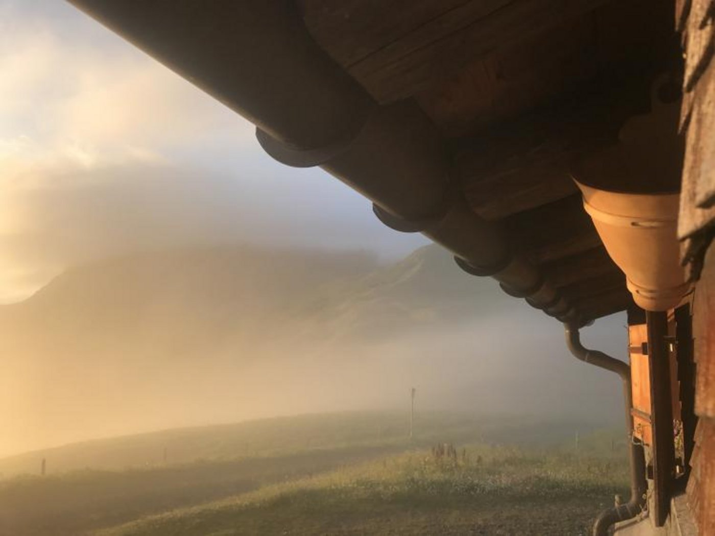 Eindrücke von der Alp Fideriser Duranna. (Bilder zVg)