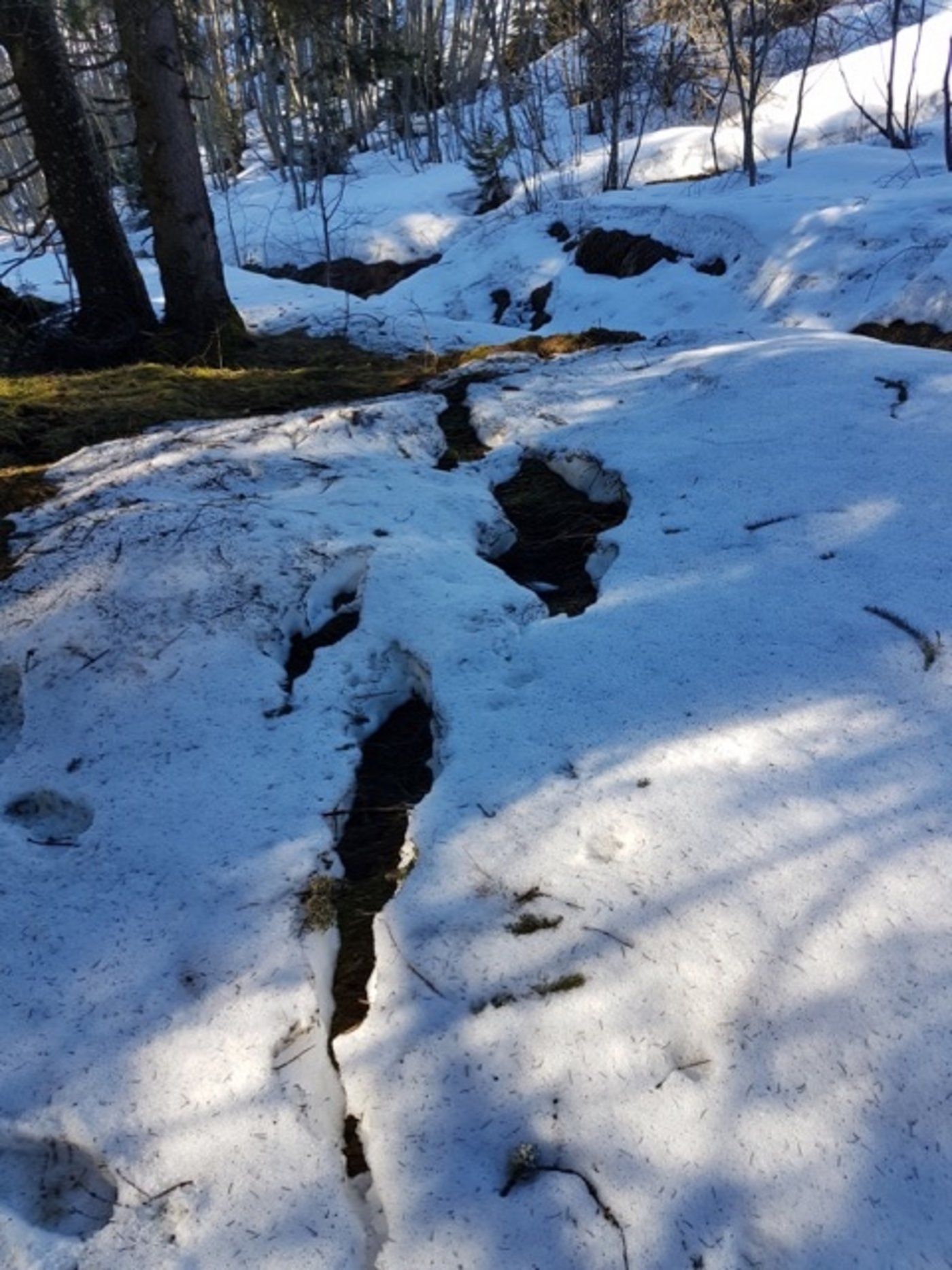 In der alten Schneedecke sind Risse zu sehen. 