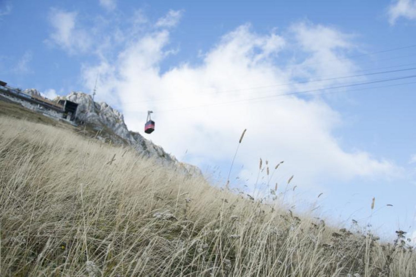 Eindrücke von der Oberstockenalp. (Bild Vreni und Werner Bühler)