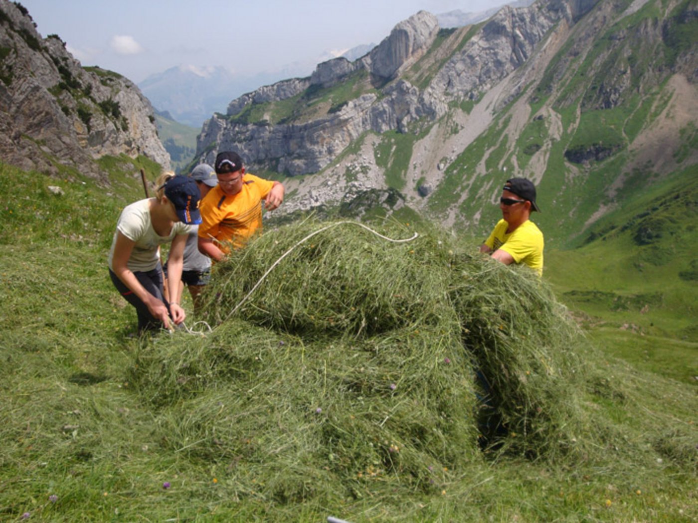 Wildheuer bei der Arbeit. (Bild lid)