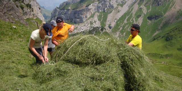 Wildheuer bei der Arbeit. (Bild lid)