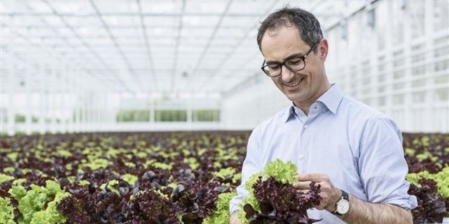 Der Salat aus Hydrokultur verkauft sich laut Migros Aare gut. (Bild Migros)