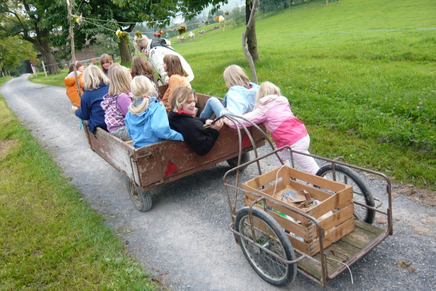 Die meisten Kinder sind gerne auf einem Bauernhof: Entsprechend viele Angebote gibt es für die junge Kundschaft.  (Bild Martin Blum)