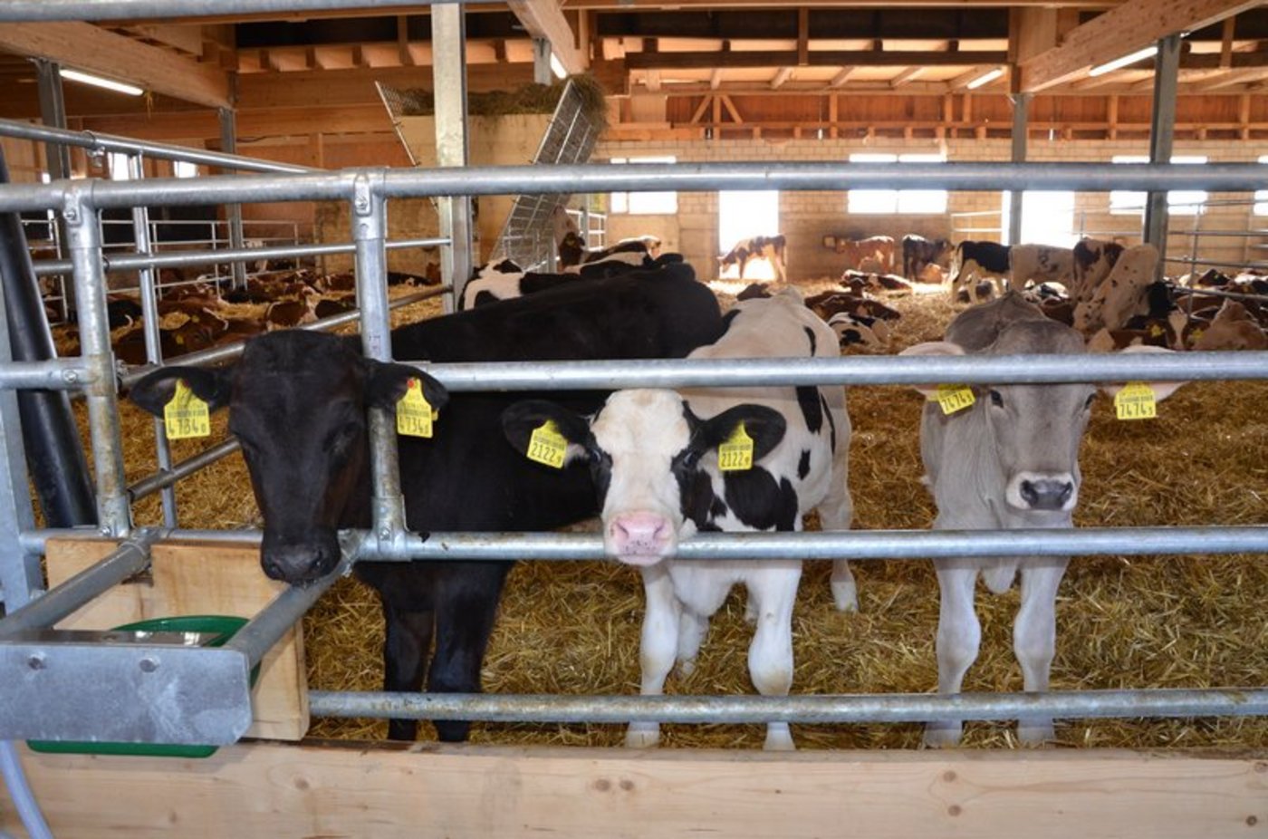 (Bild BauZ)