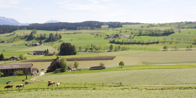 Heulandschaft Ruswil LU. (Archivbild Andrea Gysin)