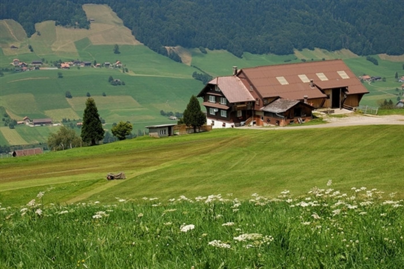 Ein Bauernhof im Entlebuch: Die Kleinbauern wollen kleinere und mittlere Betriebe fördern. (Bild Simon Koopmann) 