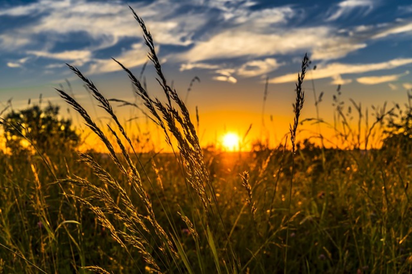 Start nach Mass: Sommer 2018. (Bild Pixabay)