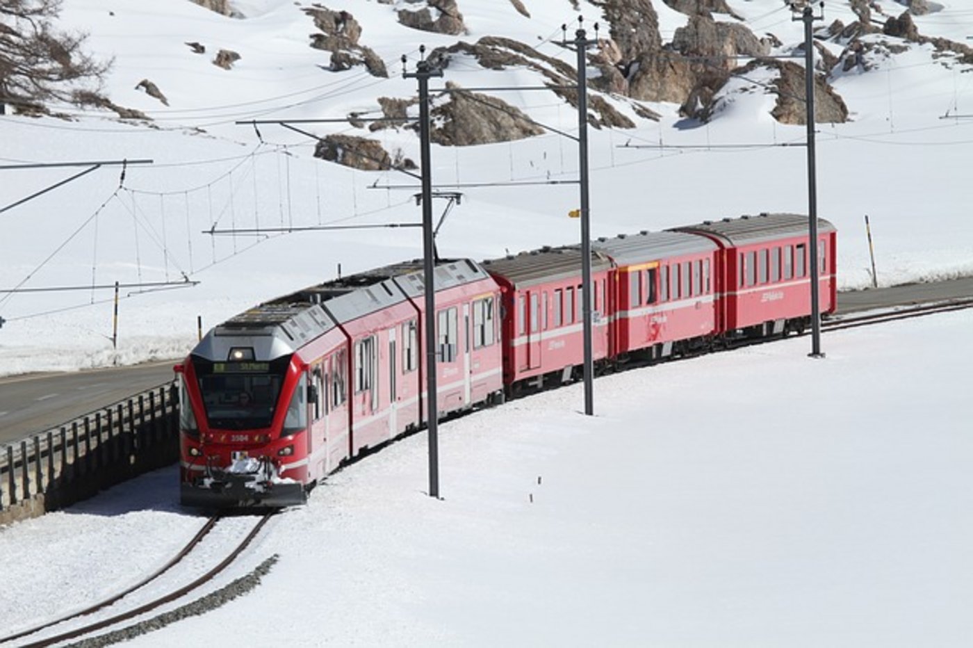Das tote Tier wird nun in Bern untersucht, um es zu identifizieren. (Symbolbild Pixabay)