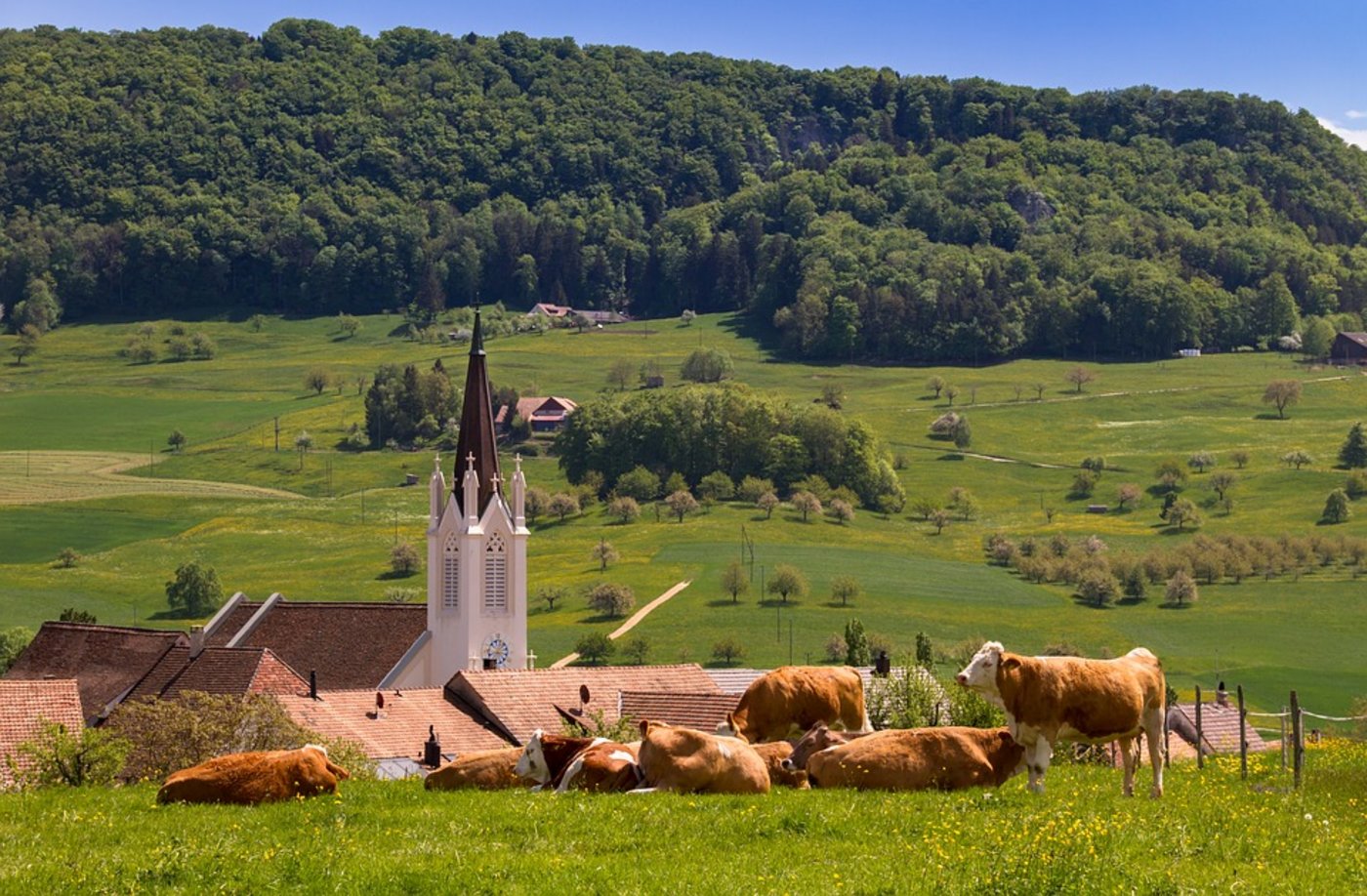 Kuhherde in Kilchberg BL. (Symbolbild Pixabay)