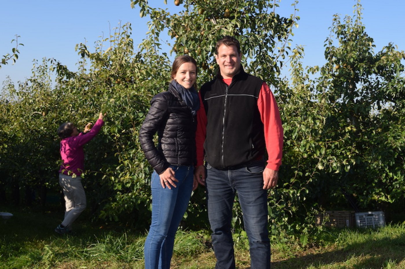 Linda Gehrig und Manuel Strupler vor der Birnenanlage, die das zweite Jahr in Folge stark von Wanzenschäden betroffen war. (Bild sgi)