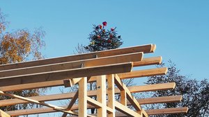 Die Unterscheidung von Baugebiet und Nichtbaugebiet schützt unser Kulturland. Will eine Bauernfamilie aber in der Landwirtschaftszone bauen und die entsprechende Bewilligung erhalten, sind zahlreiche Abklärungen nötig.  