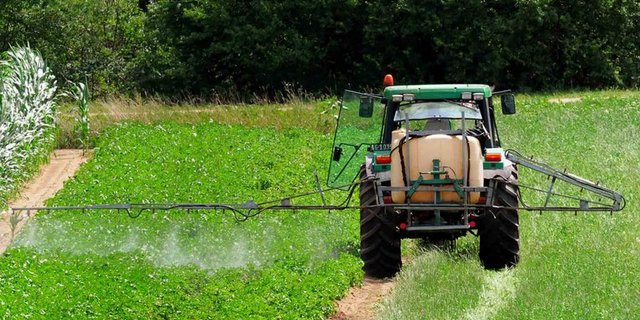 Der Agrochemie-Konzern Monsanto streitet Krebsgefahren beim Glyphosateinsatz ab. (Bild Lid)