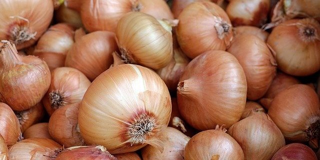 Bei den Zwiebeln müssen eventuell Lagerlücken im Sommer 2020 mit Importen gefüllt werden. (Bild Pixabay)