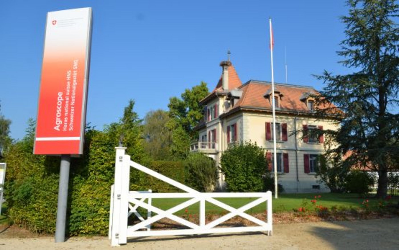 Das Schweizer Nationalgestüt in Avenches. (Bild Agroscope)