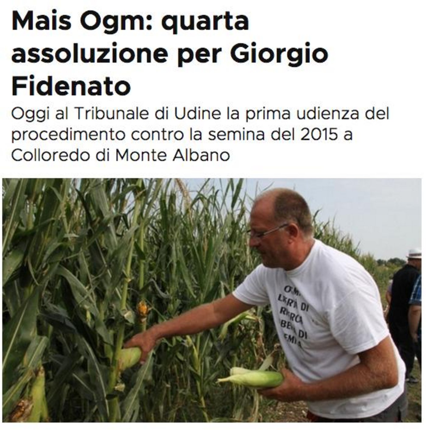 Sorgt für Schlagzeilen: Gentech-Aktivist Giorgio Fidenato hat bereits mehrmals GVO-Mais ausgesät - trotz Anbauverbot. (Screenshot Ilfriuli.it)